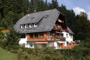 Гостиница Hotel-Pension Thomé  Хинтерцартен